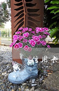 信用卡逾期催收短信 模板